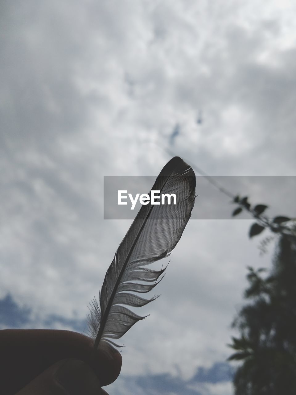 Low angle view of hand holding feather against sky