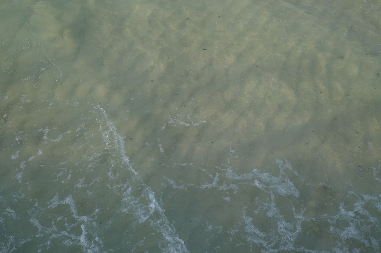 FULL FRAME SHOT OF WATER IN SHALLOW