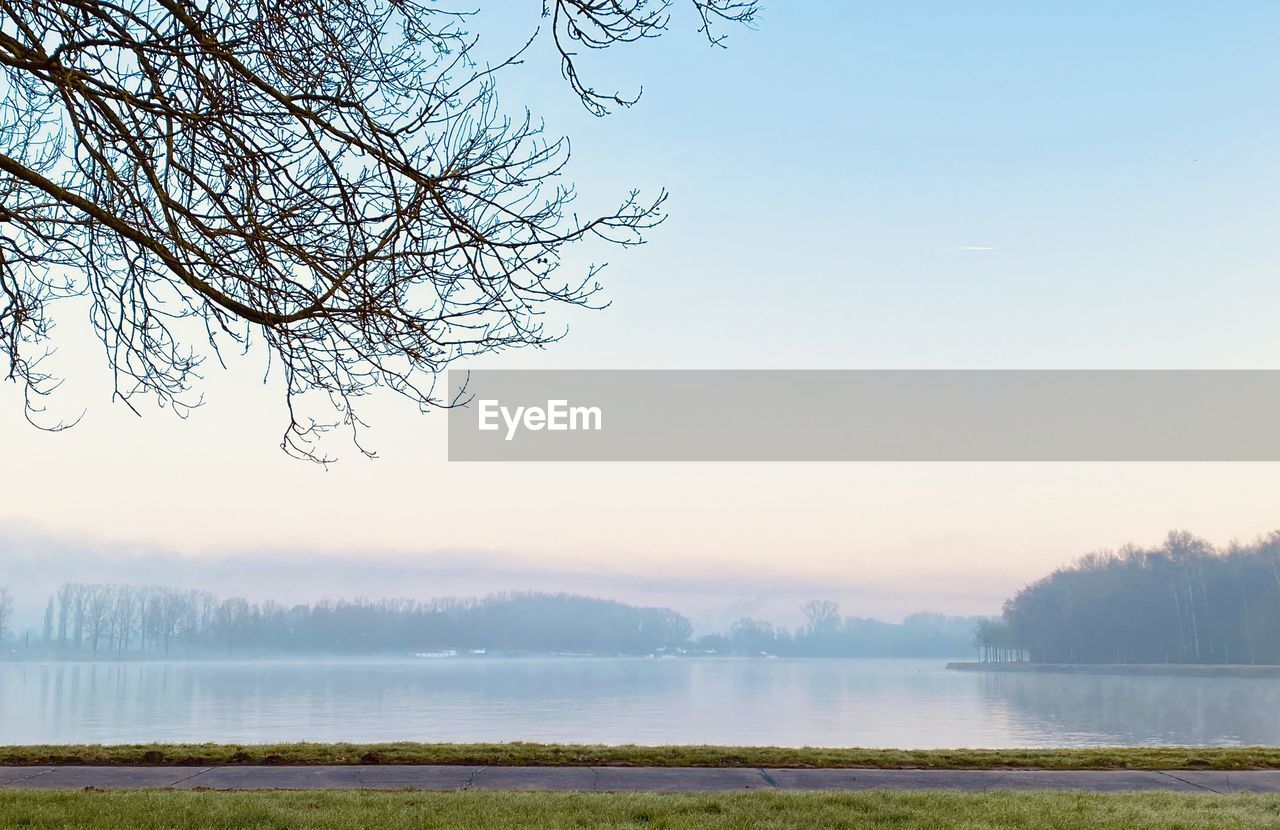 BARE TREE BY LAKE AGAINST SKY