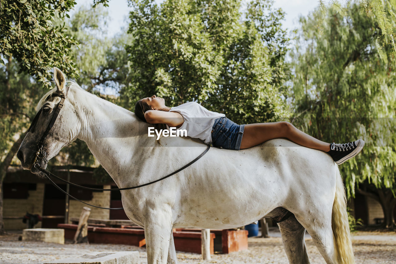 Beautiful young woman lying on top of white horse