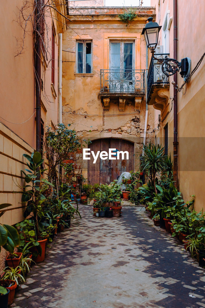 Characteristic alley with plants in the historical center of ortigia