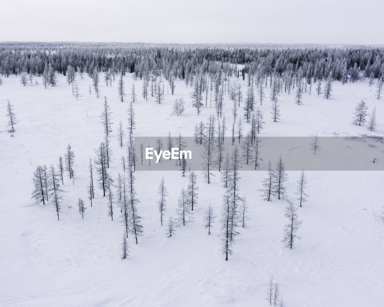 Scenic view of snow covered land against sky