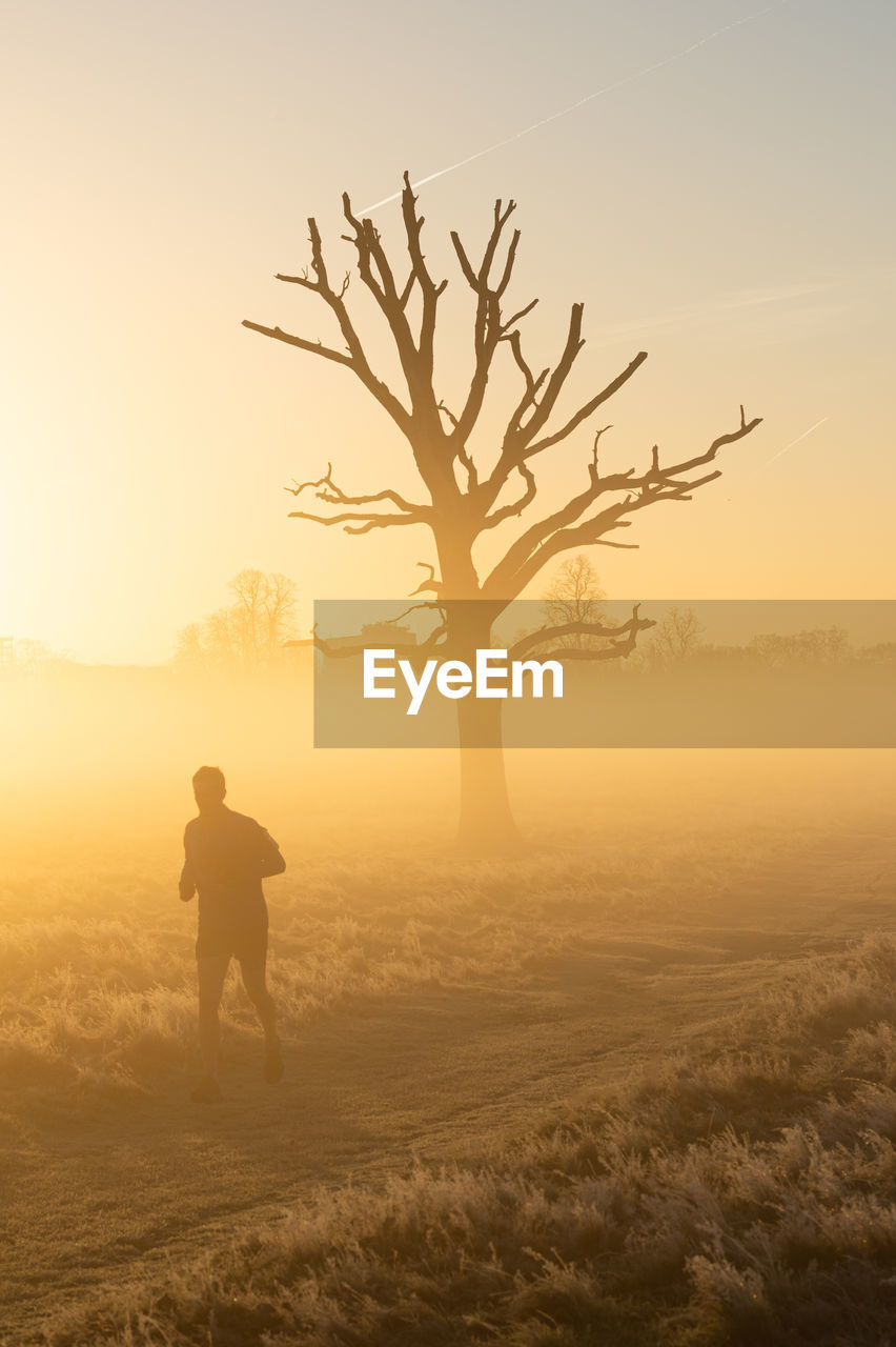morning, horizon, fog, sunrise, dawn, sky, nature, tree, landscape, one person, sunlight, environment, mist, plant, silhouette, land, men, adult, sun, beauty in nature, scenics - nature, back lit, full length, savanna, rural scene, natural environment, solitude, outdoors, plain, activity, walking, lifestyles, person, field, tranquility, leisure activity, tranquil scene, standing, orange color, branch, mountain, loneliness, copy space, travel, emotion, grass