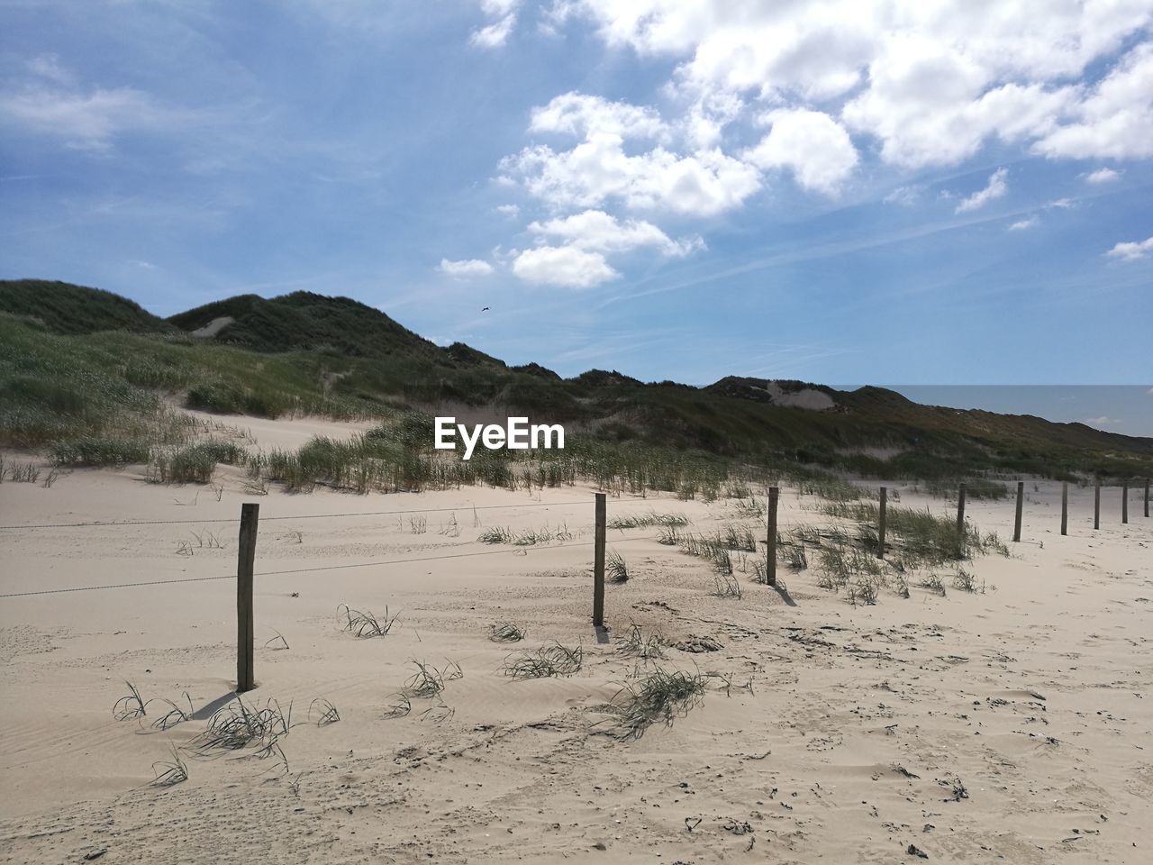 SCENIC VIEW OF BEACH