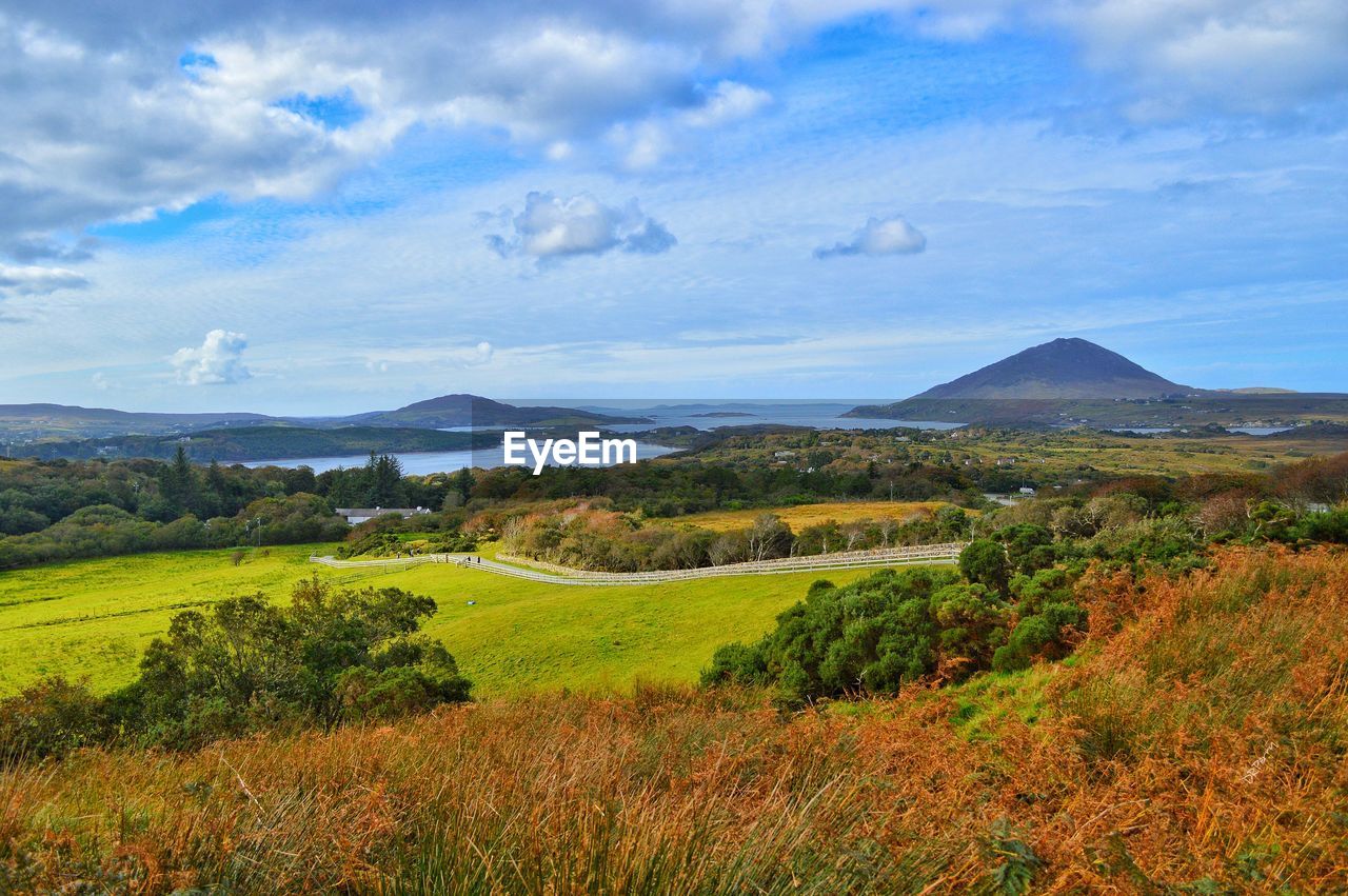 SCENIC VIEW OF RURAL LANDSCAPE