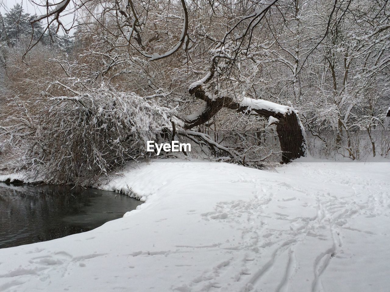 SNOW COVERED LANDSCAPE