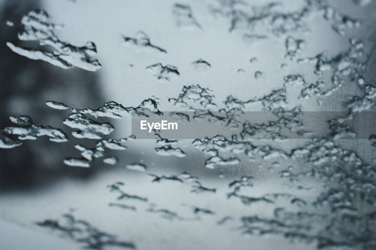 Close-up of raindrops on glass window