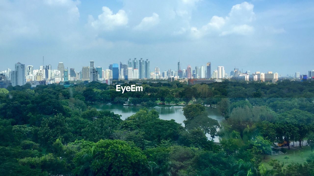 SCENIC VIEW OF TREES AGAINST SKY