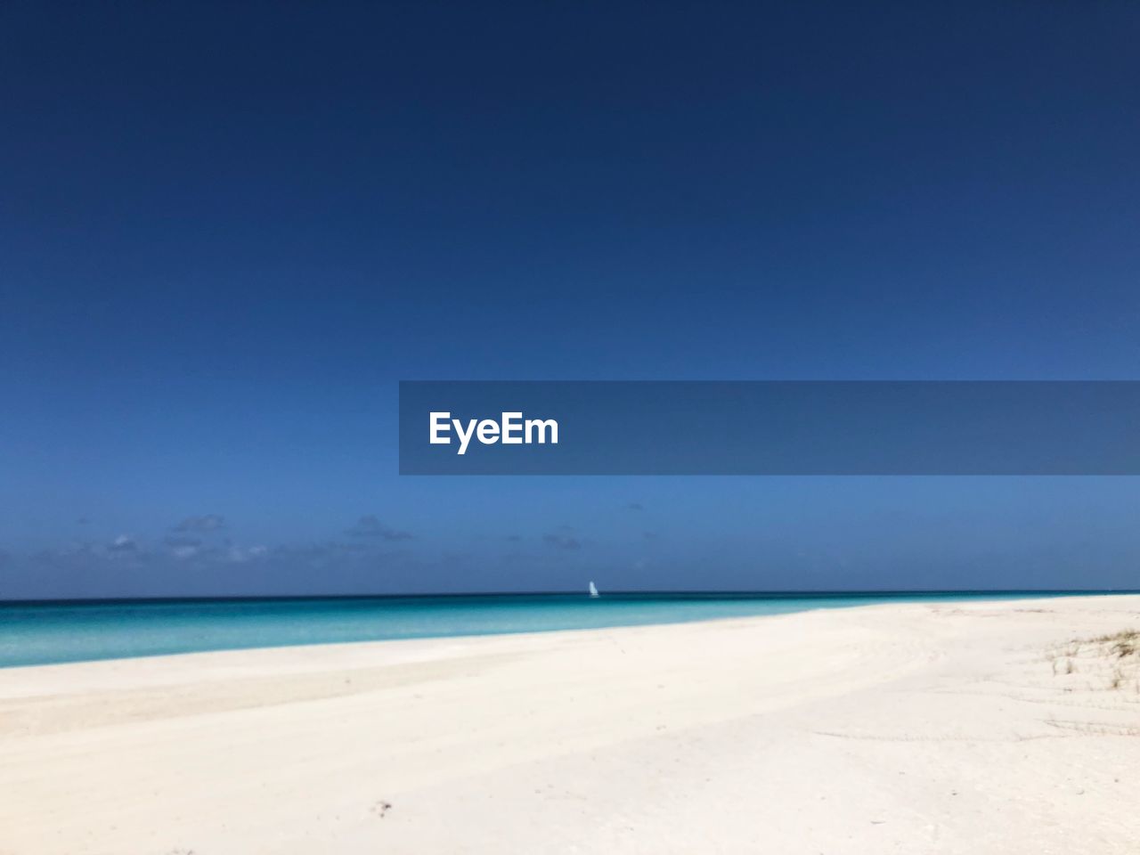 SCENIC VIEW OF BEACH AGAINST CLEAR SKY