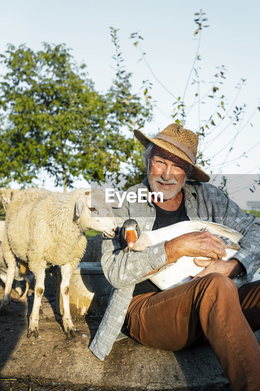 Happy farmer carrying goose sitting by sheep at farm on sunny day