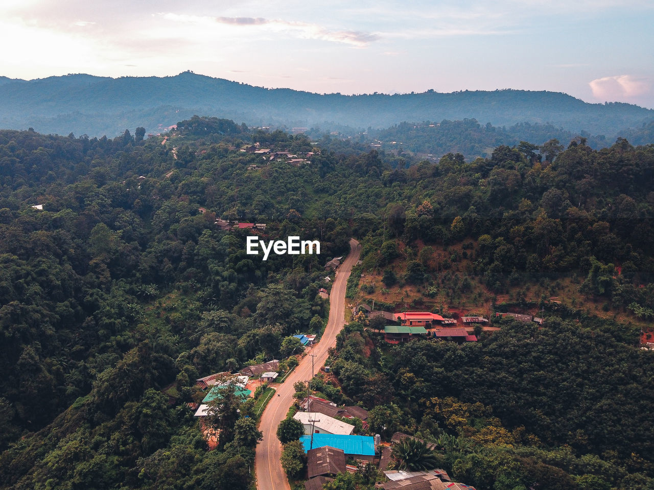 Aerial view of forest against sky