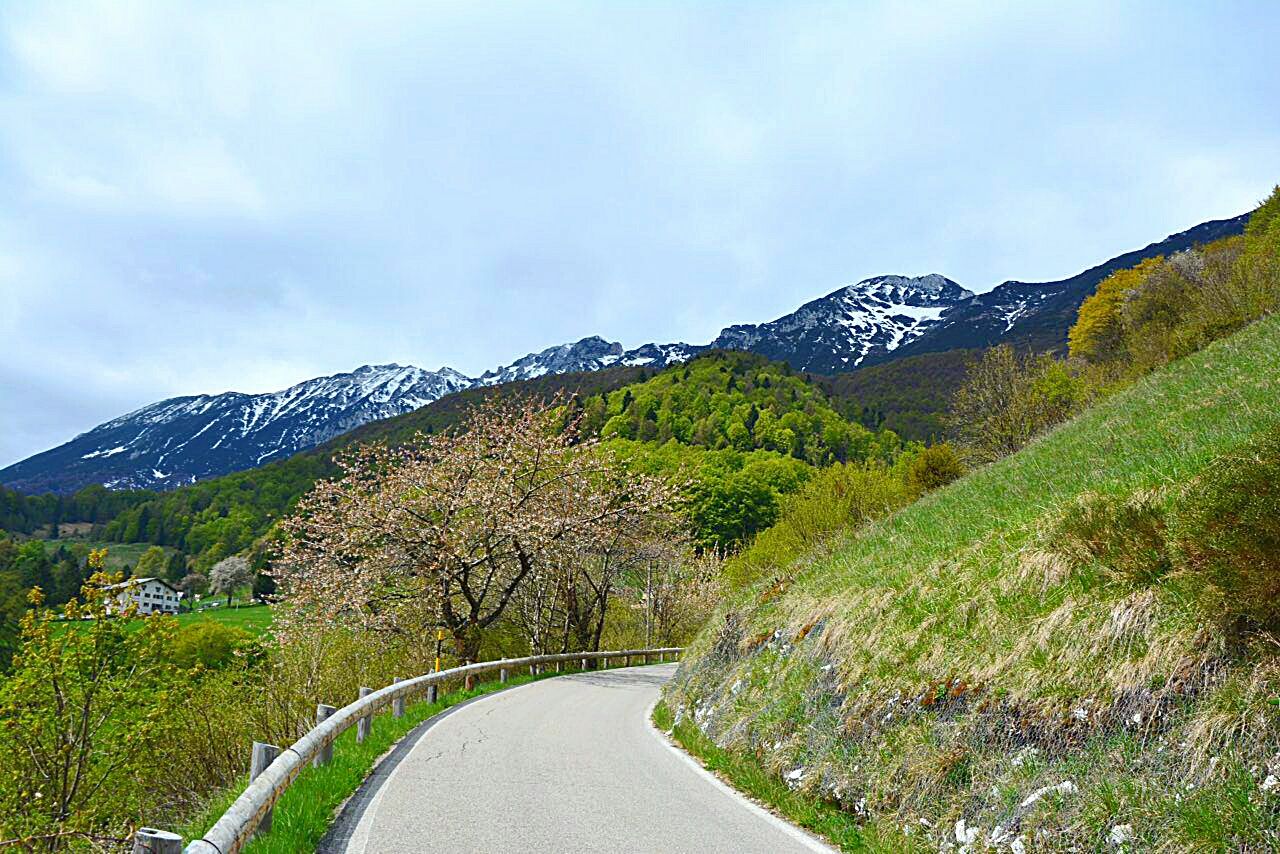Winding road passing through lush foliage mountain