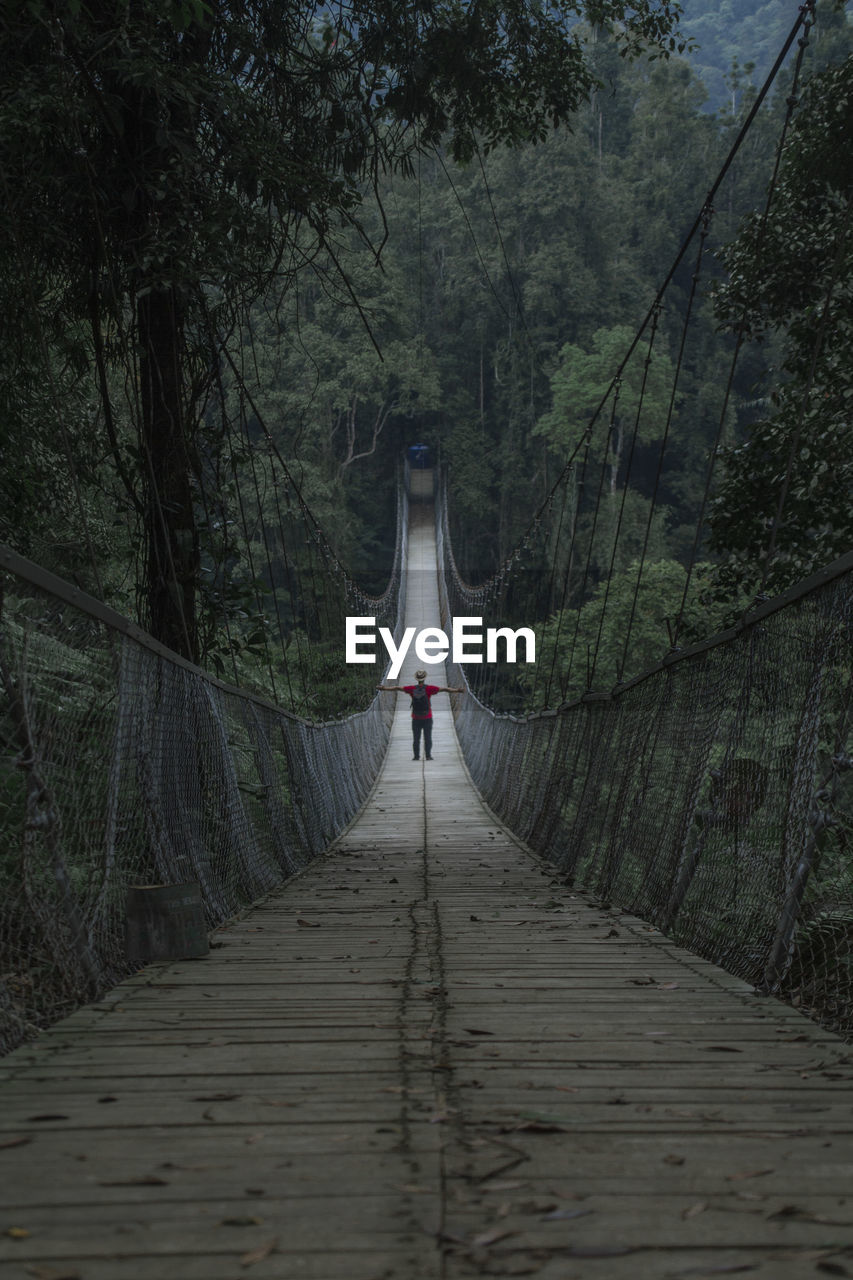 Rear view of person walking on footbridge in forest