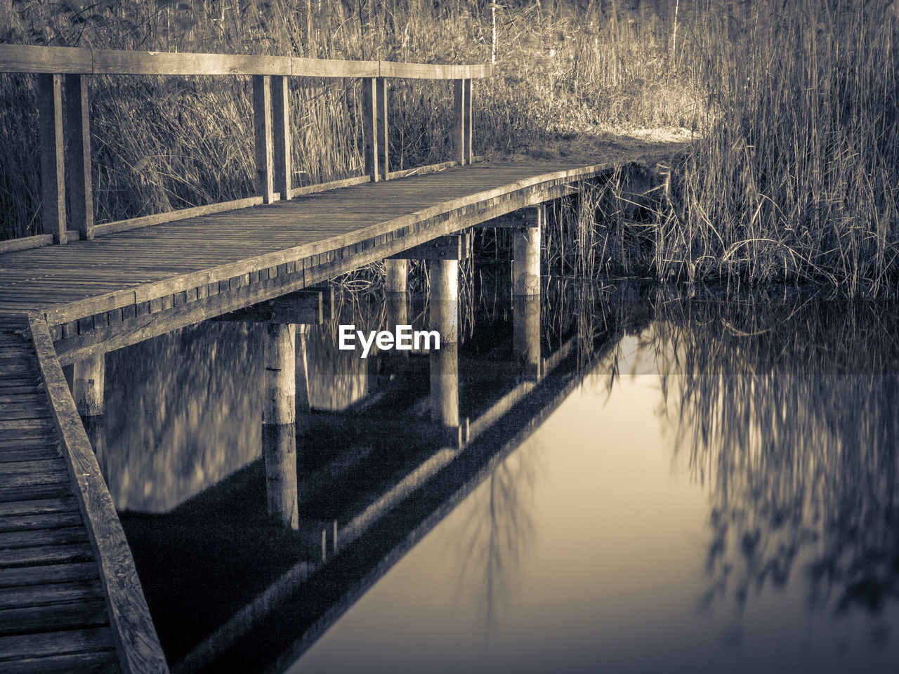 REFLECTION OF TREES IN WATER