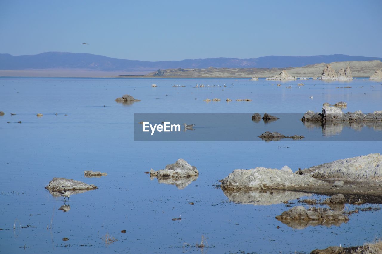 Scenic view of lake against clear sky