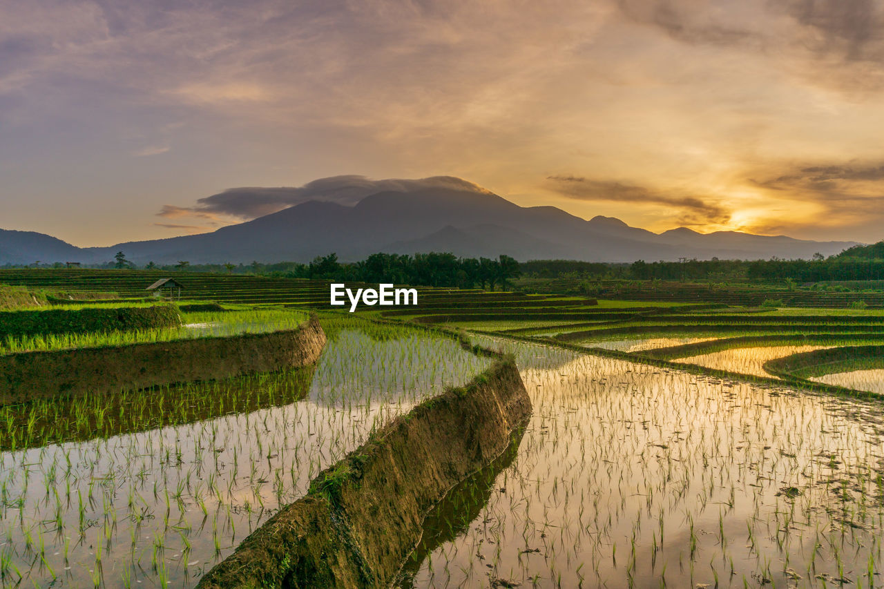 Scenic view of field against sky during sunset