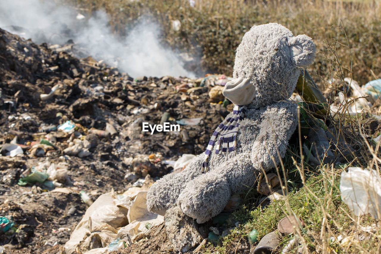 A teddy bear lies thrown away in the middle of a garbage fuming landfill.the  environmental disaster