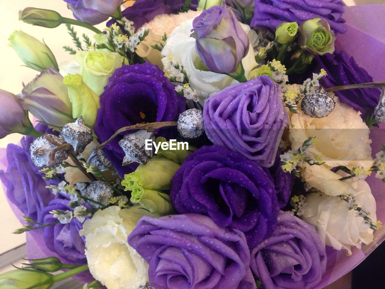 High angle view of wet purple rose bouquet