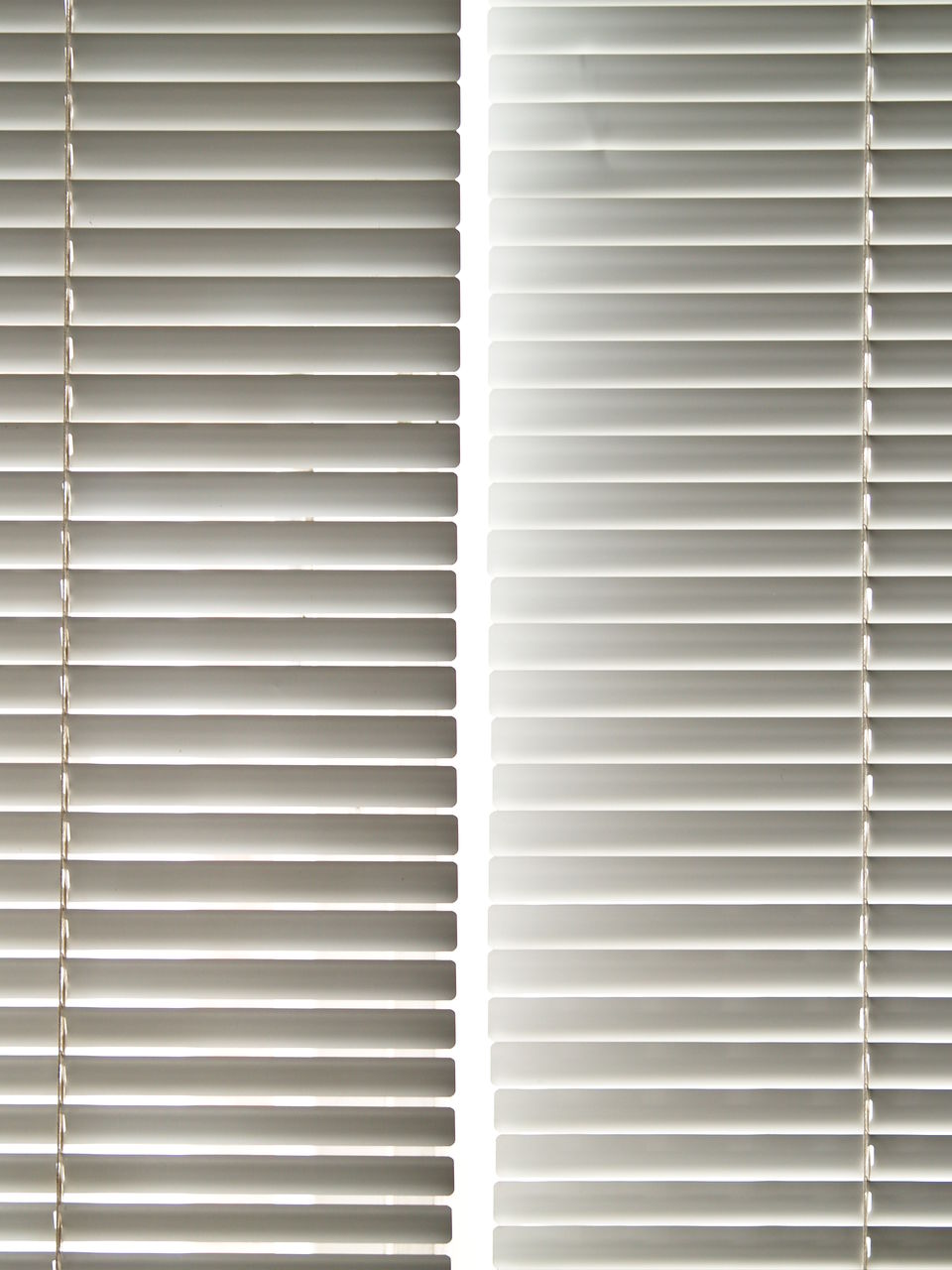 White window blinds