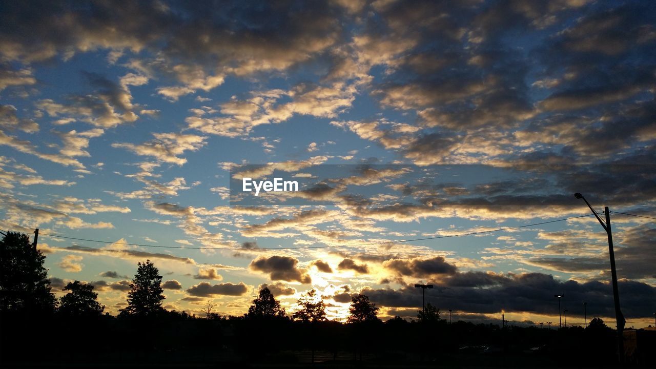 SILHOUETTE TREES ON FIELD AGAINST CLOUDY SKY