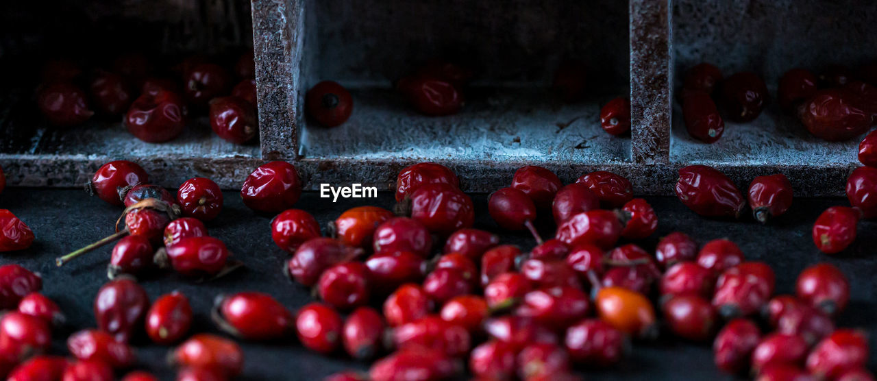 Dried rosehip fruits on the table