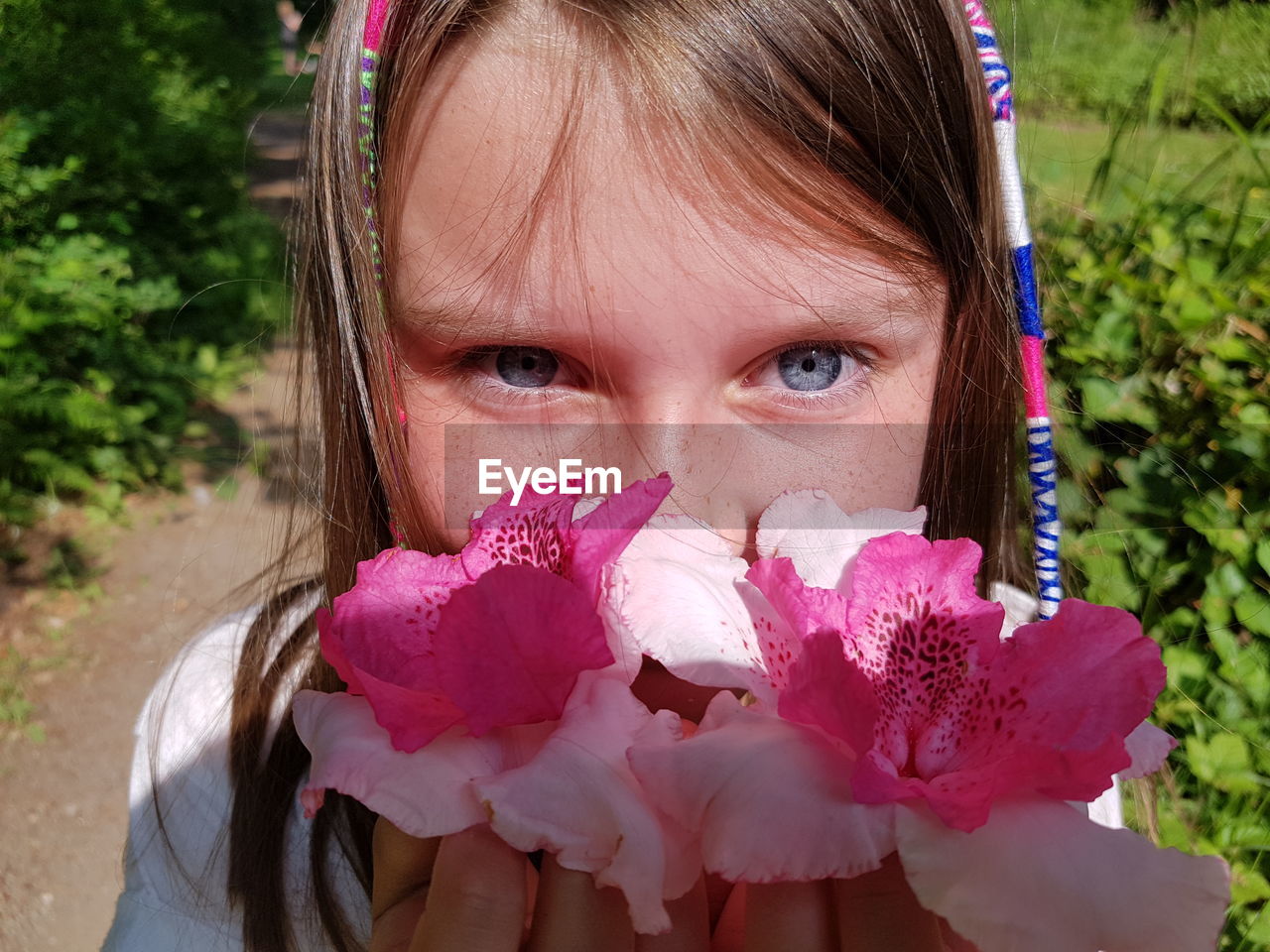 Portrait of cute girl holding pink flowers at park