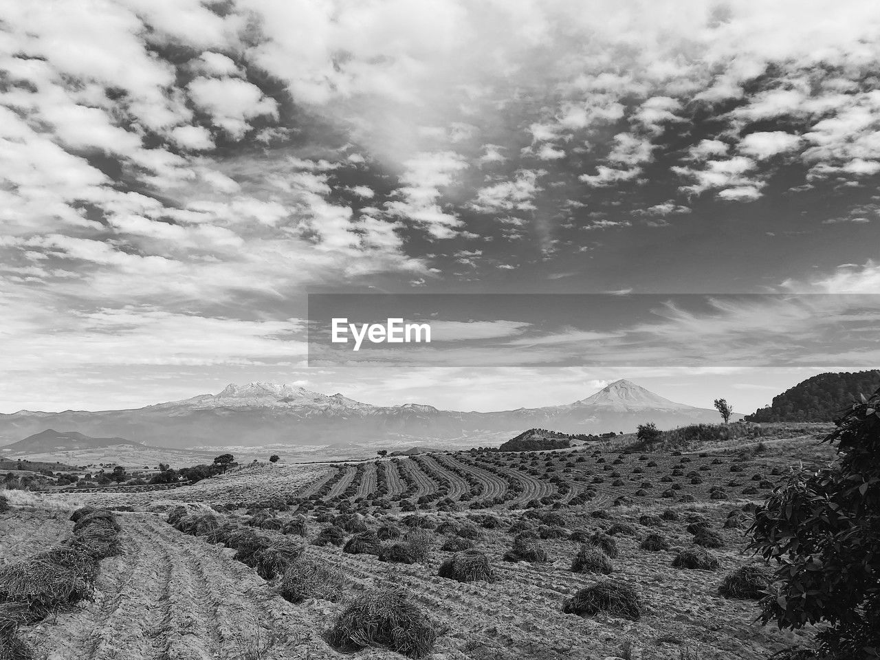 landscape, sky, environment, cloud, scenics - nature, nature, mountain, black and white, land, beauty in nature, monochrome photography, monochrome, no people, tranquility, tranquil scene, rural scene, mountain range, outdoors, plant, day, non-urban scene, horizon, agriculture, travel, field, travel destinations, rock