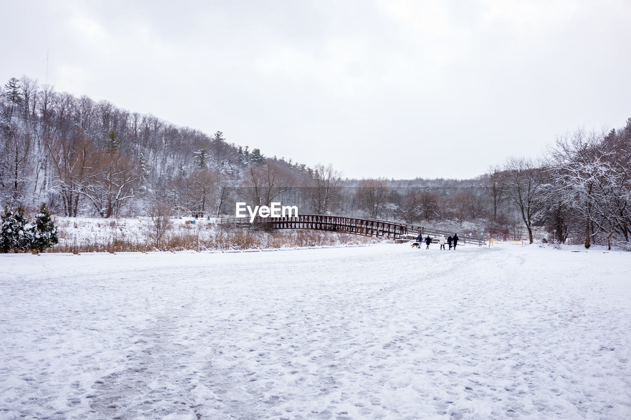 SNOW COVERED FIELD BY TREES AGAINST SKY