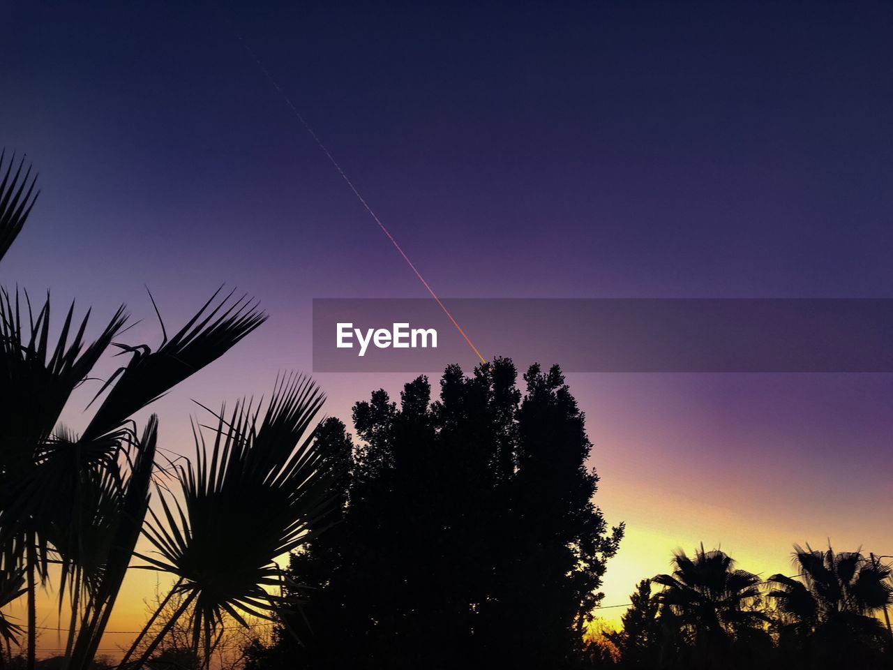 LOW ANGLE VIEW OF SILHOUETTE TREES AGAINST SKY