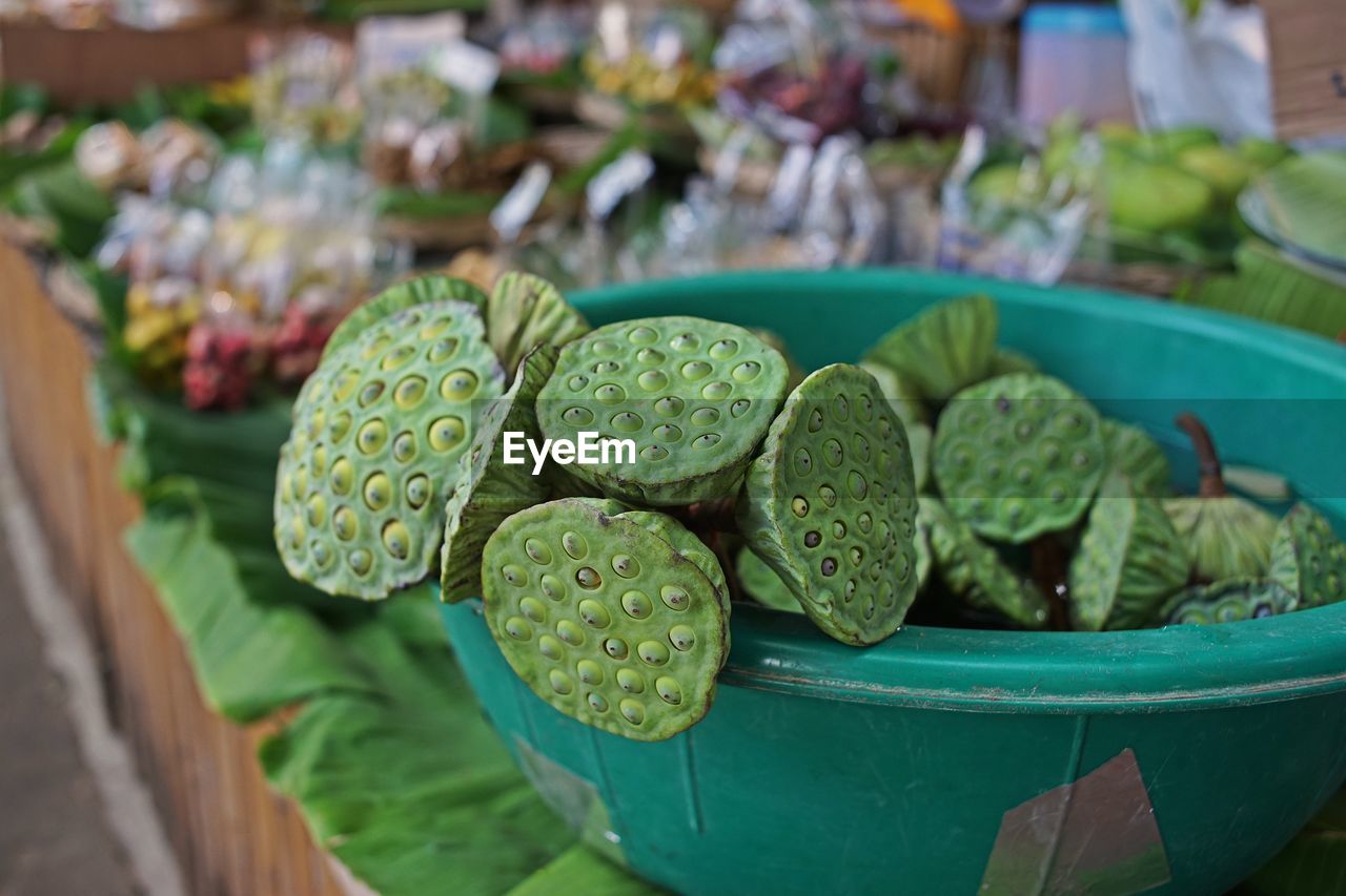 Lotus pod, edible green seed 