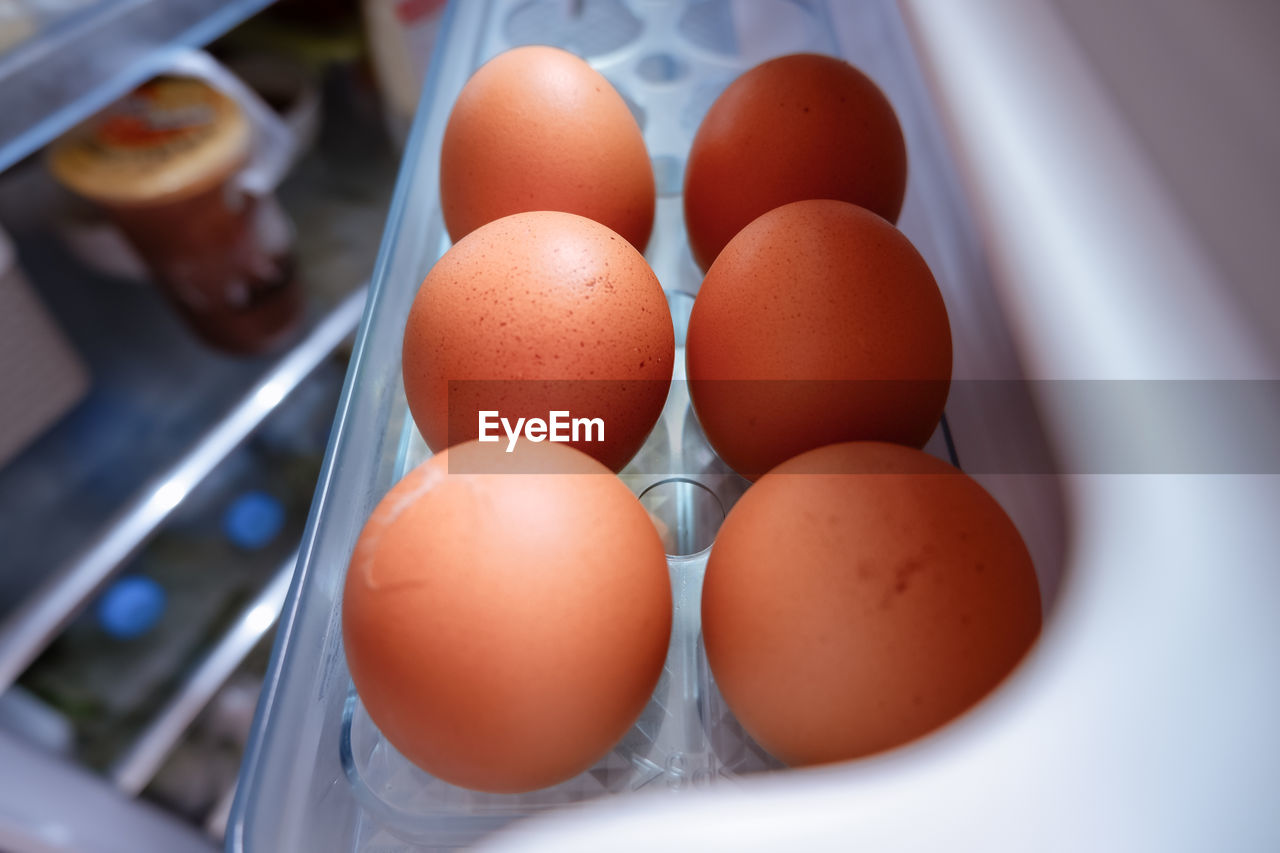 High angle view of eggs in container