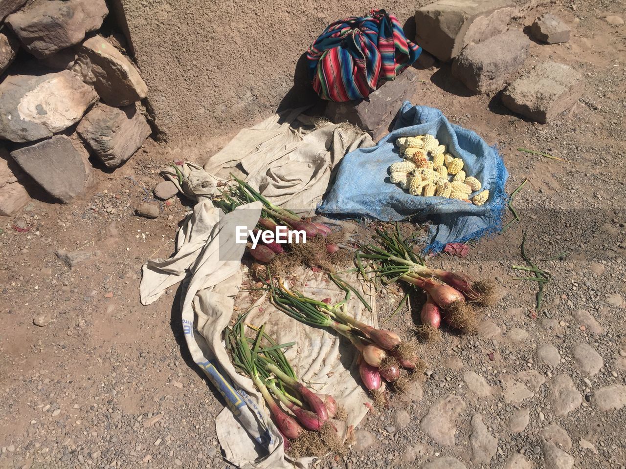 High angle view of vegetables on textiles by rocks