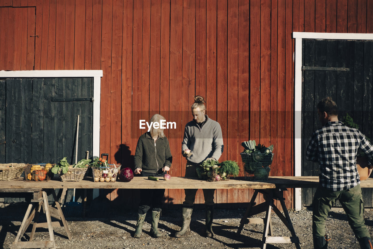 Male and female farmers arranging organic vegetables on table outside barn