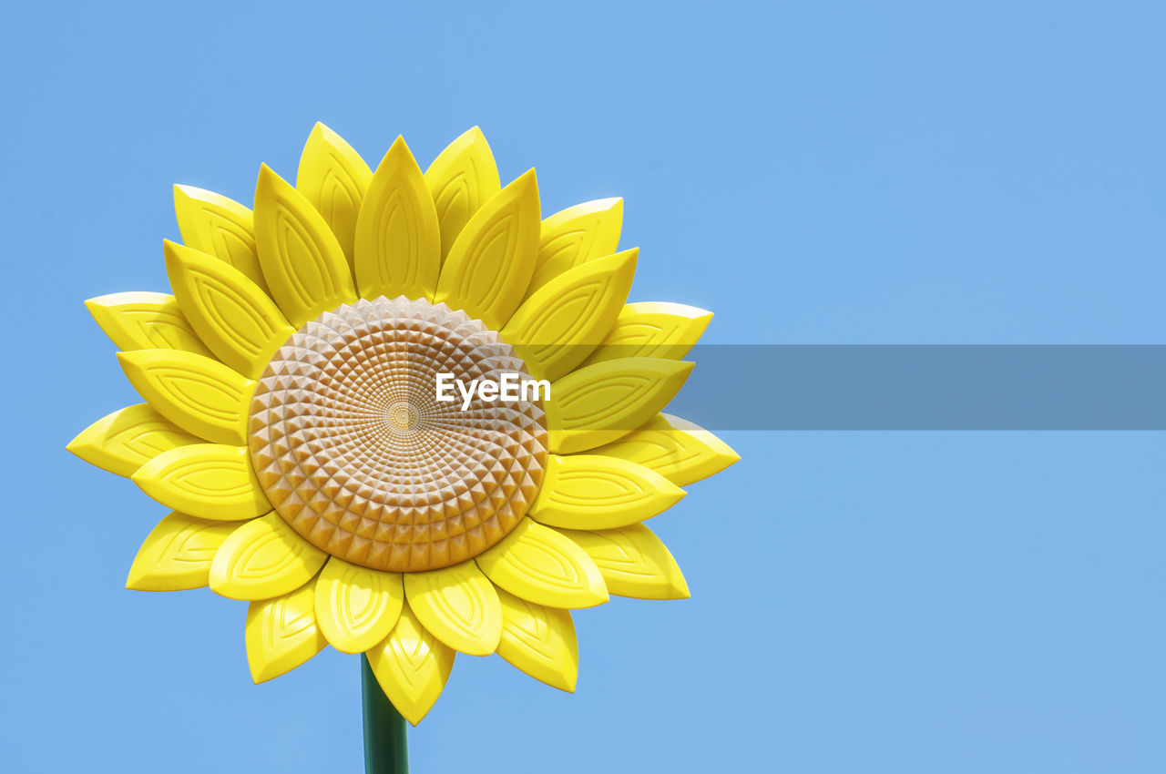 LOW ANGLE VIEW OF YELLOW SUNFLOWER AGAINST CLEAR SKY