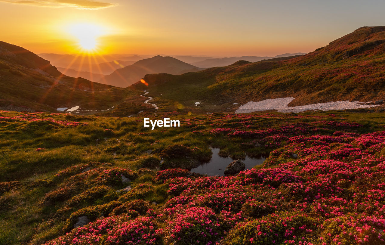 Scenic view of mountains against sky during sunset in rodnei mountains 