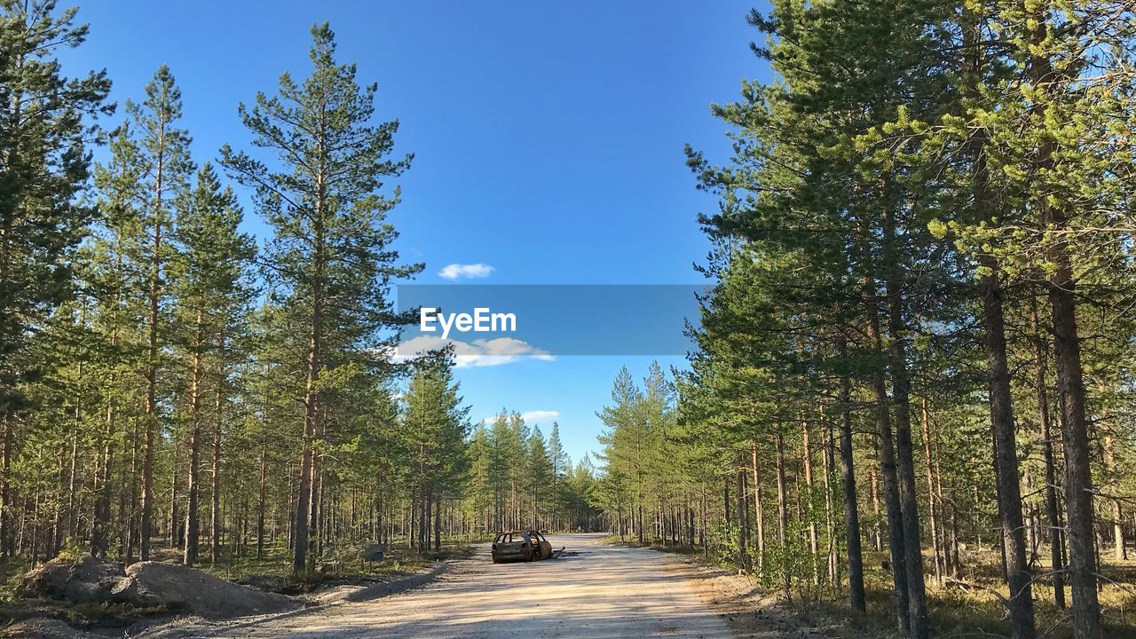 Empty road amidst trees in forest against blue sky