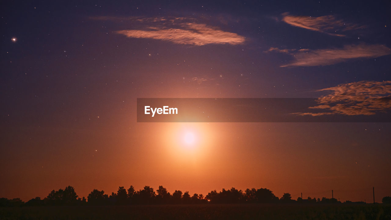 low angle view of trees against sky during sunset