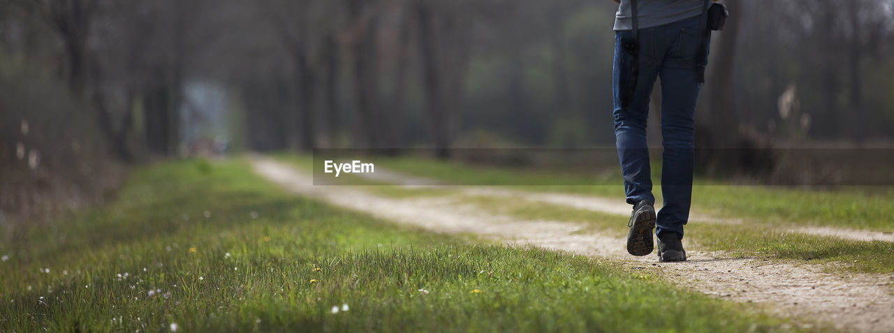 Low section of man walking on grass