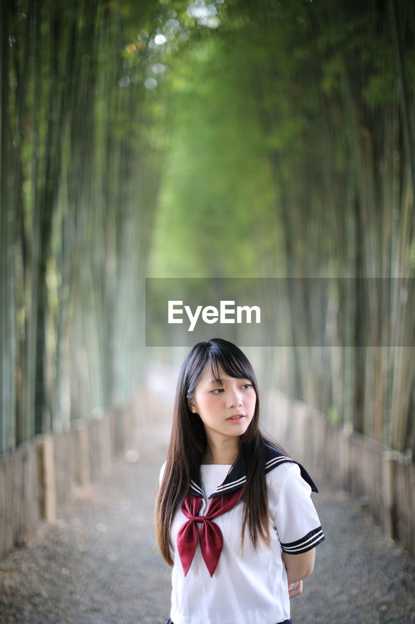 Young woman looking away while standing amidst bamboo groove