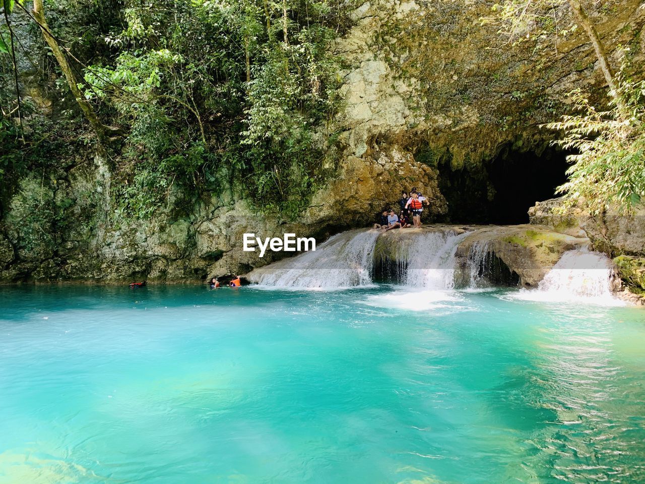 Scenic view of waterfall in forest