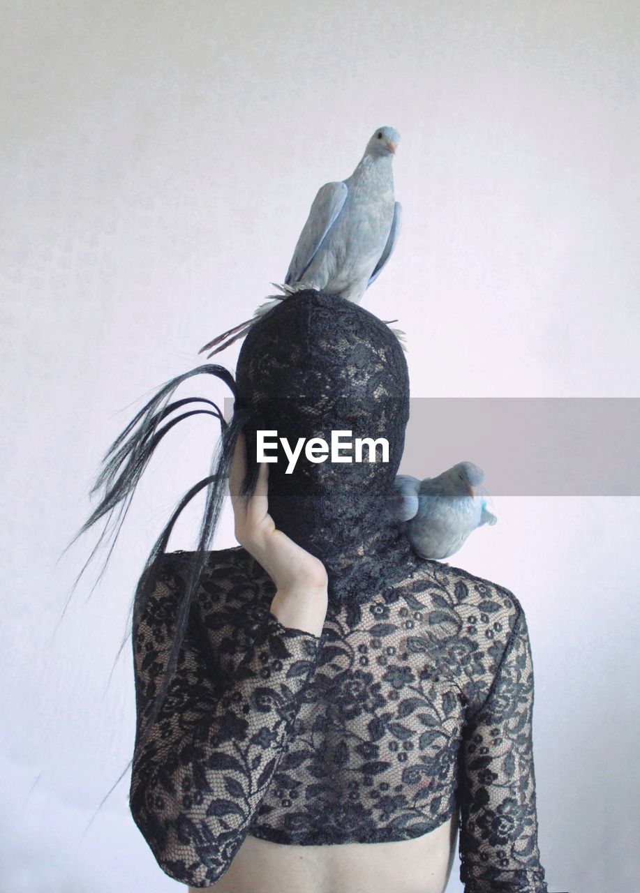 Pigeons on woman with face covered by net standing against white background
