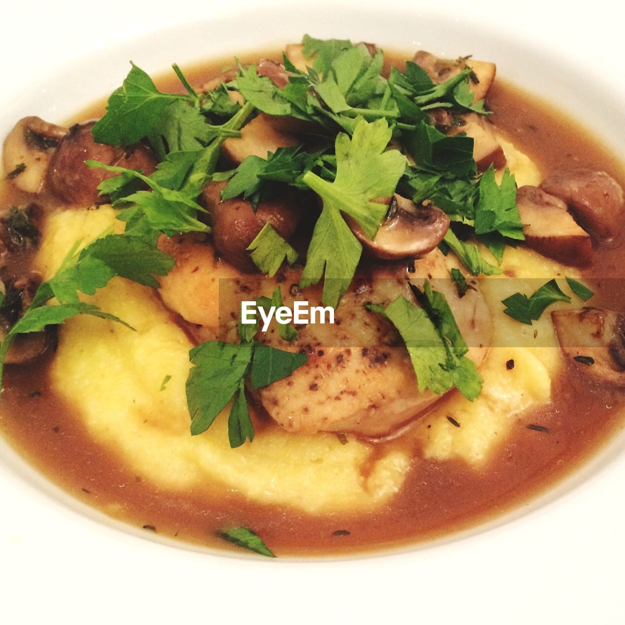 High angle view of chicken and mushroom with polenta on plate