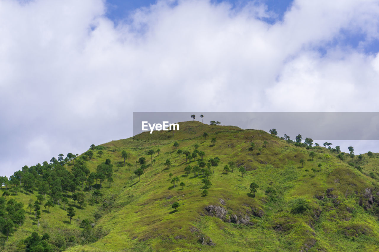 LOW ANGLE VIEW OF HORSE ON MOUNTAIN