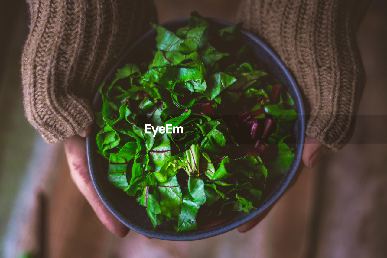 DIRECTLY ABOVE SHOT OF PERSON HOLDING LEAF