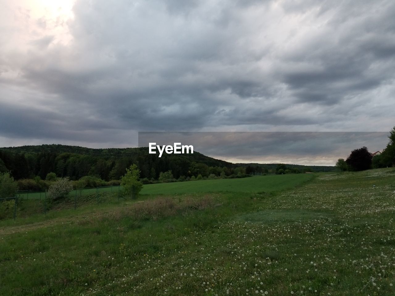 SCENIC VIEW OF GRASSY FIELD AGAINST SKY