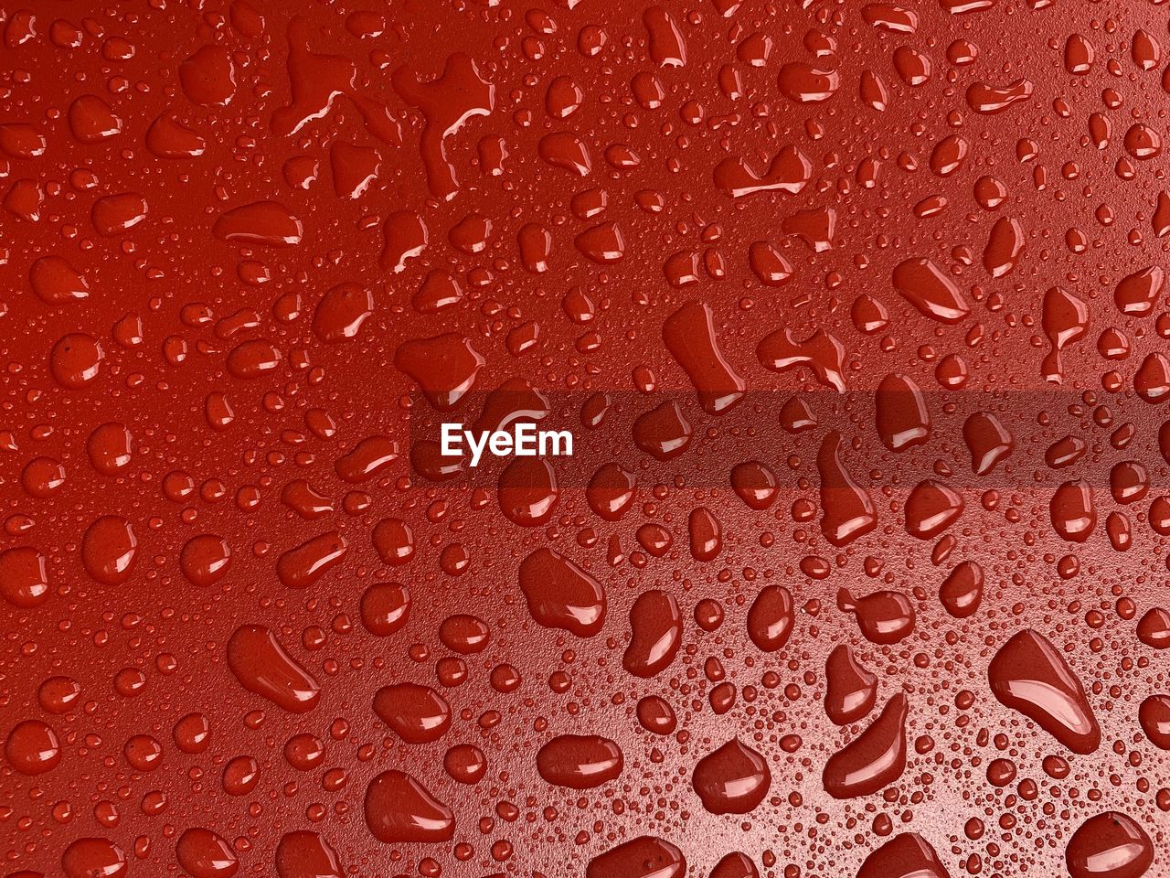 Droplets on a red surface