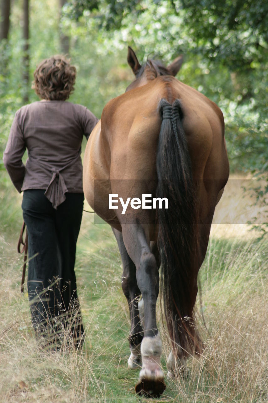 Rear view of woman with horse walking on grassy field