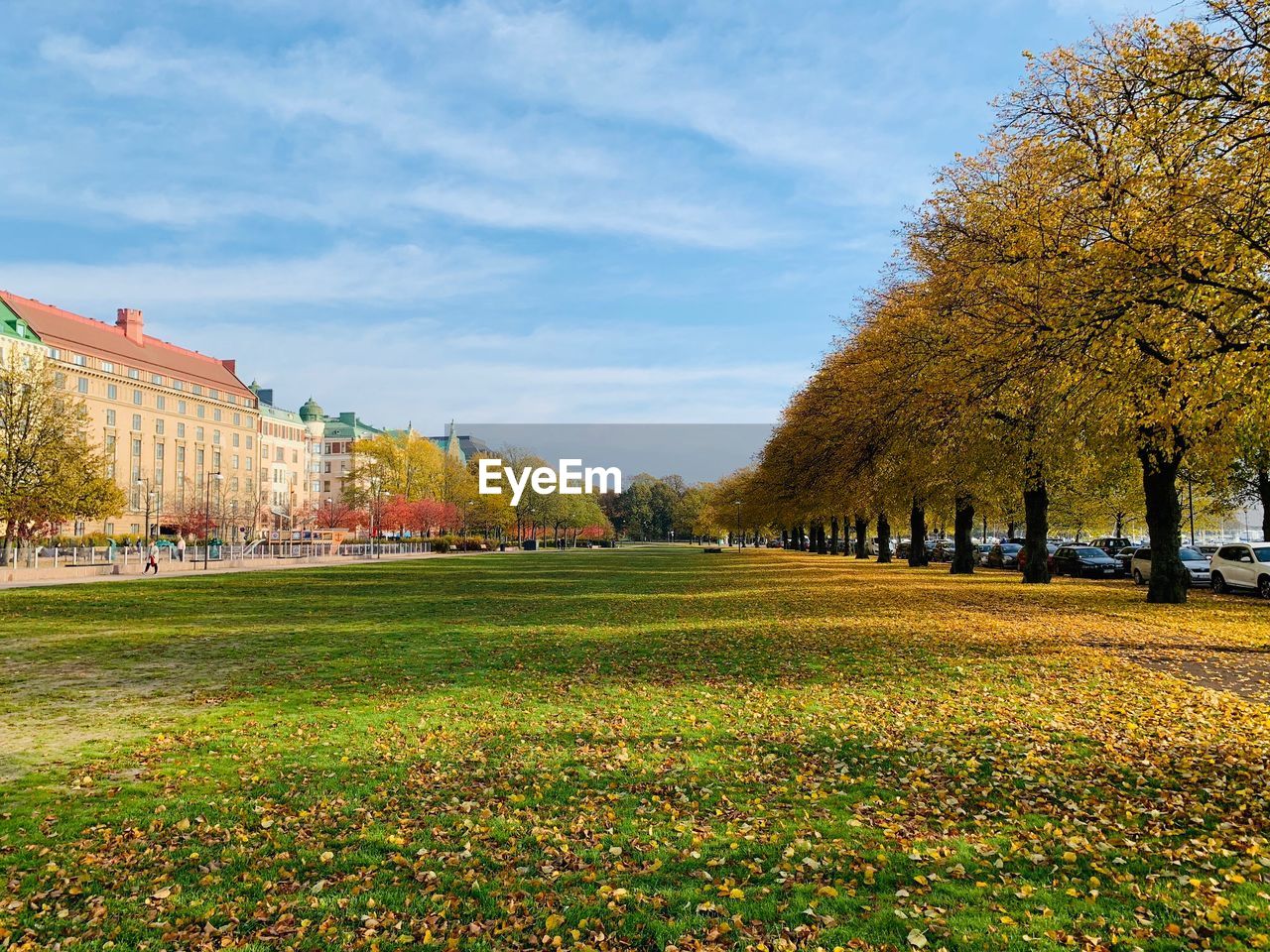 SCENIC VIEW OF PARK AGAINST SKY