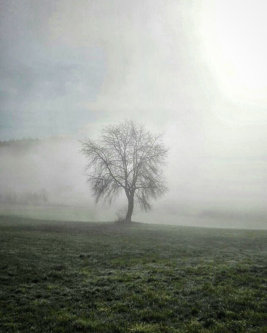 Scenic view of grassy field against cloudy sky