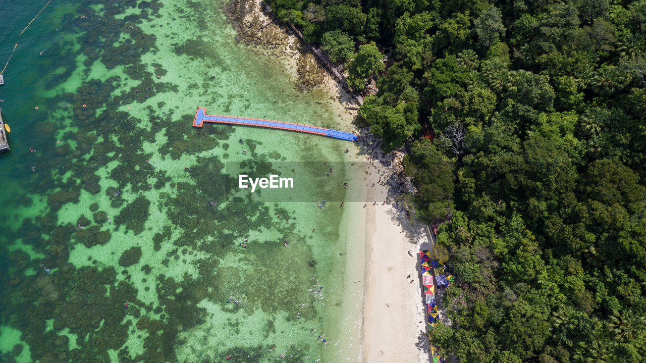 High angle view of trees at beach